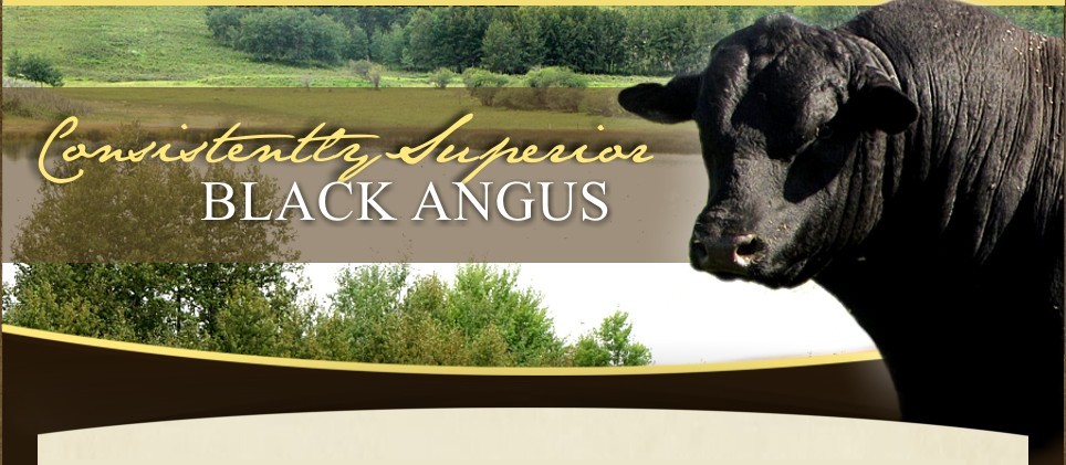 Consistently Superior Black Angus
